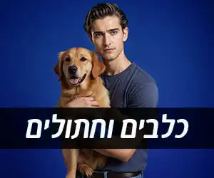 חולצות מודפסות לאוהבי כלבים וחתולים בבאר שבע ARENA